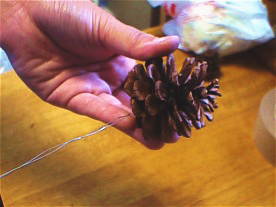 �܂ڂ�����