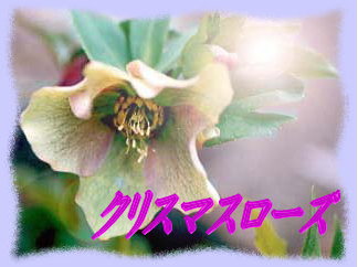 �N���X�}�X���[�Y