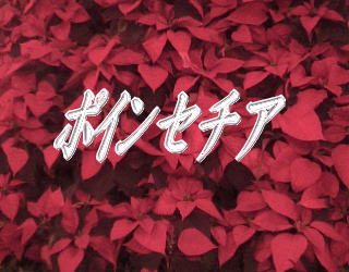 �|�C���Z�`�A