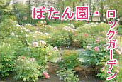 ڂEbNK[f