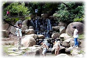 公園内