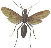 �����A��